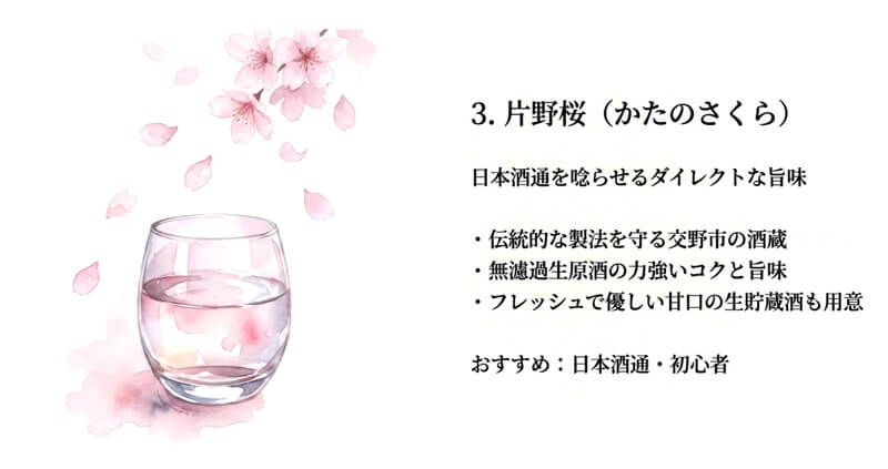 【山野酒造】片野桜
