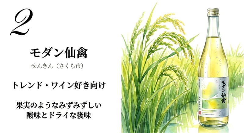 【せんきん】モダン仙禽