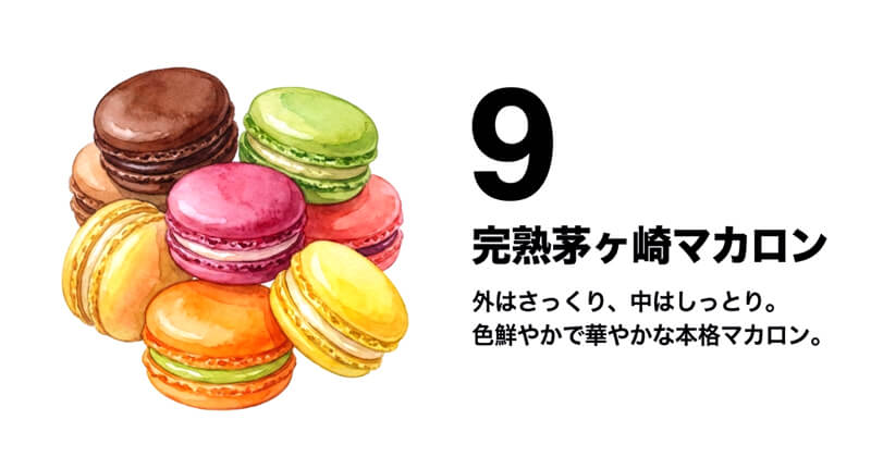 完熟茅ヶ崎マカロン