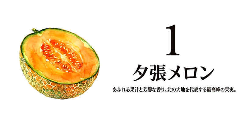 【JA夕張市】夕張メロン 共撰品
