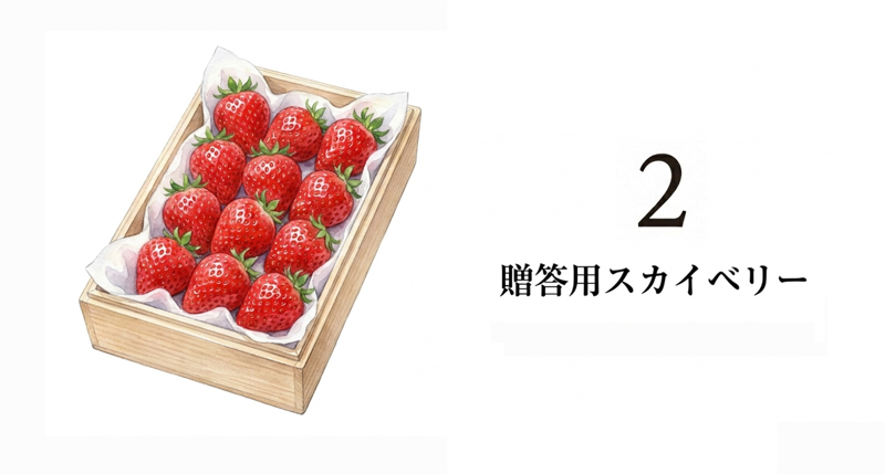 【県産品】贈答用スカイベリー