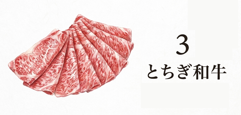 【栃木県産】とちぎ和牛 すき焼き・しゃぶしゃぶギフト