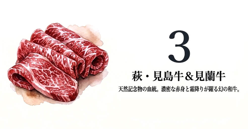 【道の駅萩往還など】萩・見島牛（みしまうし）＆ 見蘭牛（けんらんぎゅう）